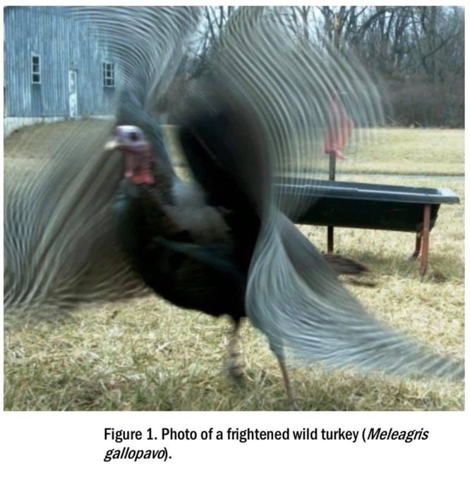 MatLab crashes tweet media