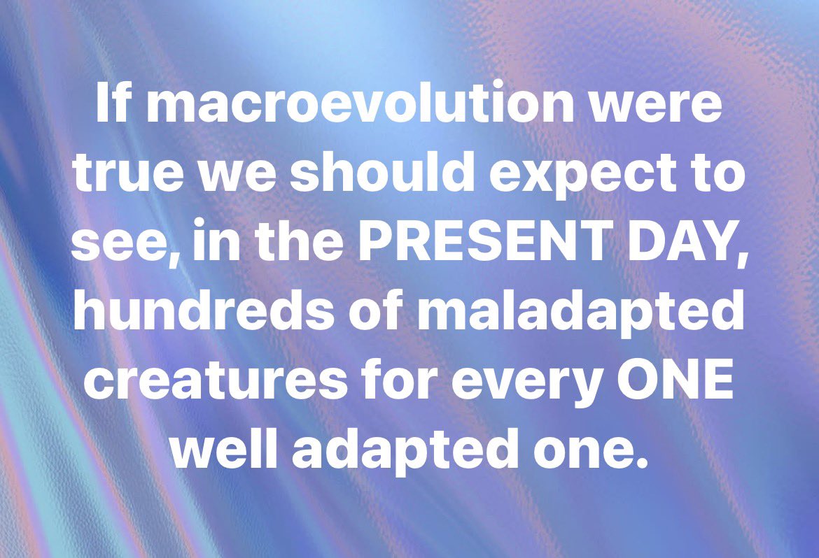 Not Evolution tweet media