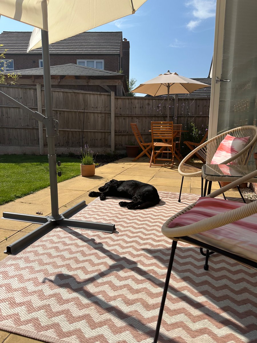 LisaHayes_'s tweet photo. Got up at 5.30am on a Sunday to walk this dickhead who has been laying in the sun ever since #knob https://t.co/yeO9SBiqE3