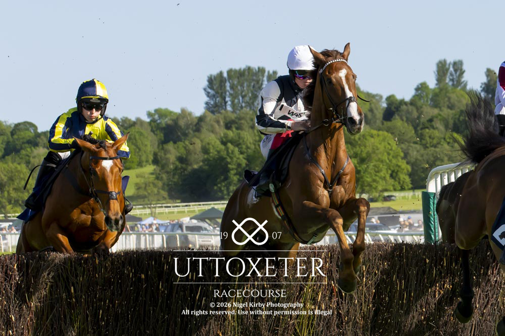 UttoxeterRaces's tweet photo. Race 6 - Wrights Always Tasty Classic Handicap Chase (GBB Race)

Winner - Grand Clermont

Trainer - @DavidPipeRacing 
Jockey - @Corcoran_Rian 

Owner - David Pipe Racing Club 

All images taken by - @nigekirby https://t.co/45EeKqgnl2