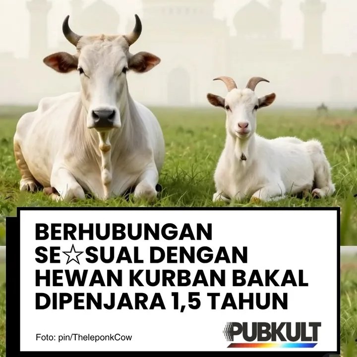Sumatera Adil & Federal tweet media