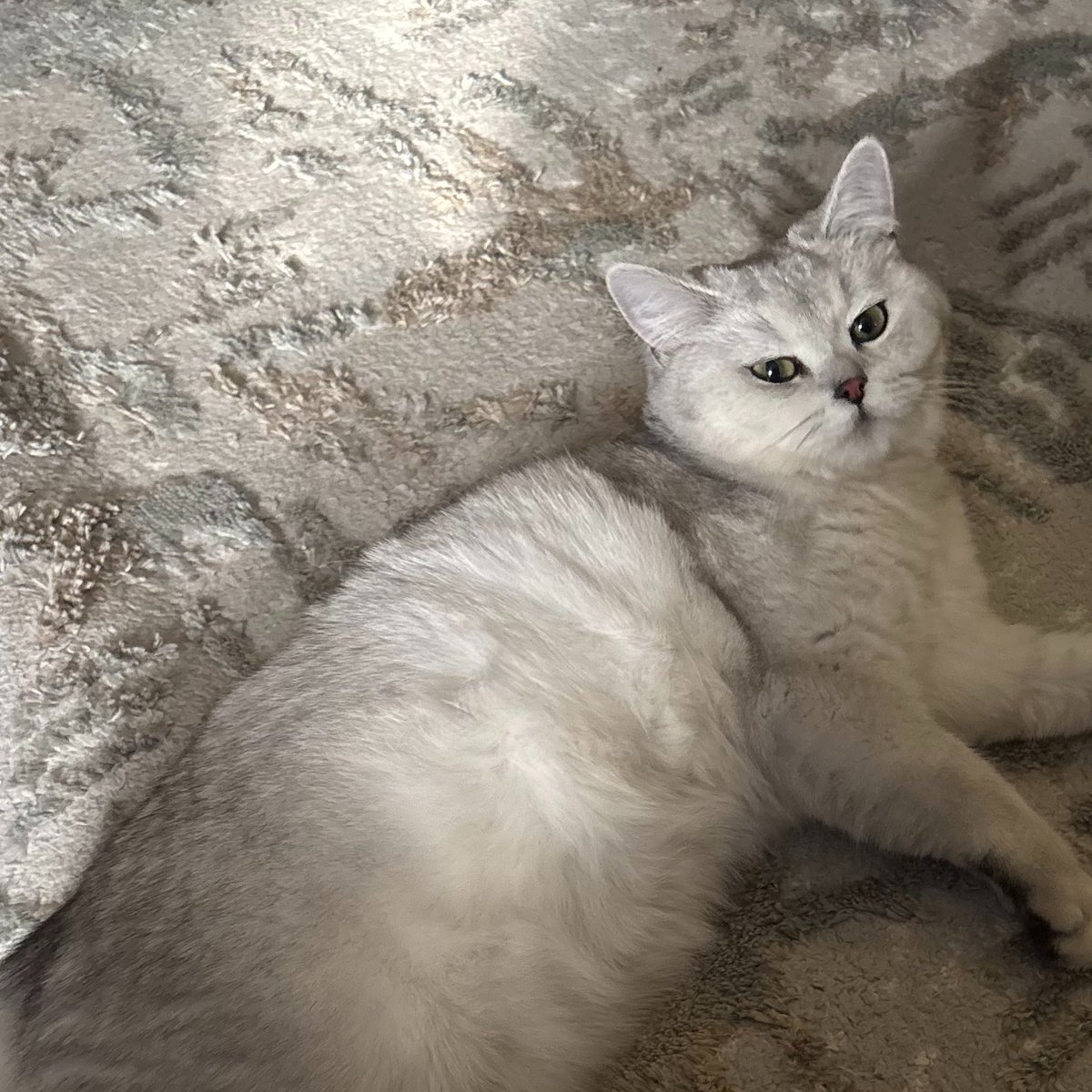 wlurui's tweet photo. انا وحبيبتي❤️لطيفه❤️ https://t.co/pr9a3rZNgB