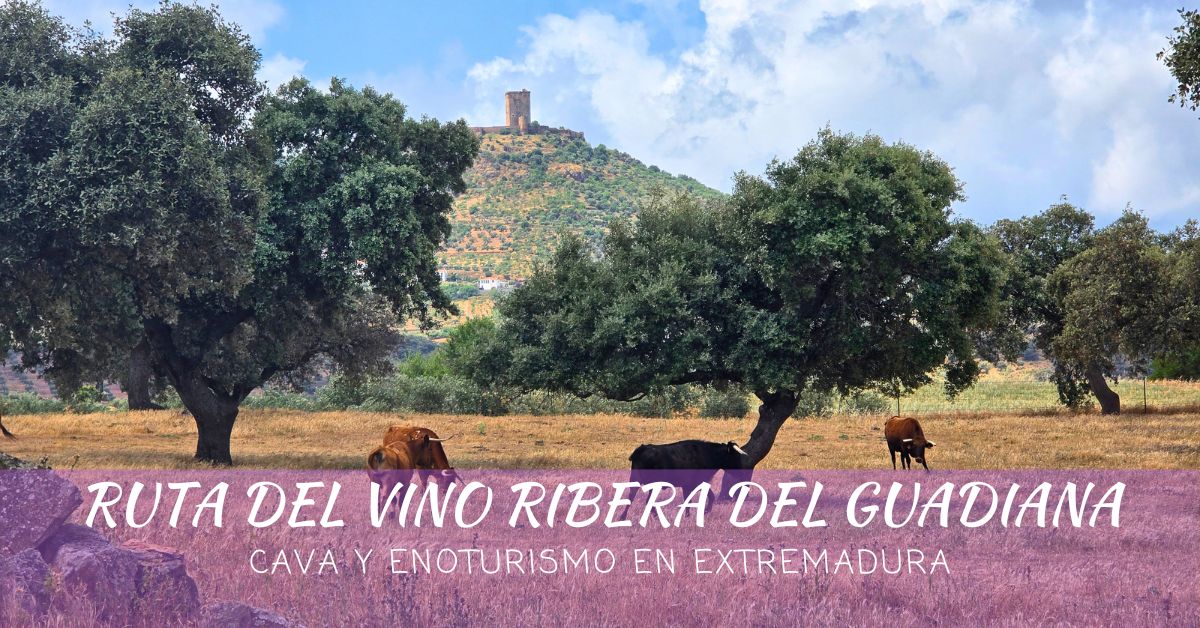 mapaymochila_'s tweet photo. 📢🆕 Dehesas, bodegas, cava, minas históricas y la “pequeña Roma”. Así fue nuestro viaje por la Ruta del Vino Ribera del Guadiana. Te contamos todos los detalles de un sorprendente recorrido enoturístico por #Extremadura
#viveRiberadelGuadiana #enoturismo
https://t.co/sGoO3sSrZ4 https://t.co/fapetzAnoE