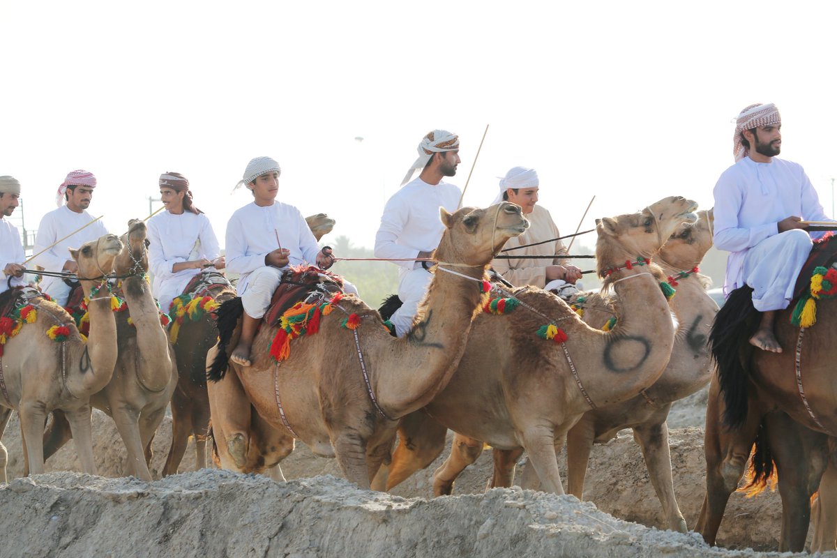 sadasaham1's tweet photo. ♦️  وسط أجواءٍ تفيضُ بأصالةِ التراثِ العُماني وعراقةِ العادات، شهدت "هبطة عيد الأضحى المبارك" في يومها الأول بالسوق المركزي بولاية #صحم حركةً شرائيةً لافتة ونشاطاً استثنائياً 🛍️✨

​📸 جاء ذلك بحضور سعادة الشيخ الدكتور سلطان بن عبدالله البطاشي والي صحم، وبمعية أعضاء المجلس البلدي والمشايخ والرشداء؛ حيث تفقدوا جنبات الهبطة التي تُنظم بإشرافٍ من مكتب الوالي وبالتعاون مع الجهات الحكومية بالولاية.

​🐑🍬 تنوعت المعروضات بين الأضاحي، والمواشي، والحلوى العُمانية ،وحلويات العيد ومستلزمات العيد التي تلبي تطلعات الأسر.

🐪🐎 قدم أصحاب الهجن والخيل بالولاية لوحات استعراضية من فن  العرضة وسط حضور كثيف من الاهالي ومرتادي السوق، إحياء لهذه العروض والتي اشتهر بها سوق  هبطة العيد أو ما يطلق عليه سوق سابع.

​💡 ستبقى "الهبطة" مشهداً اجتماعياً وثقافياً نابضاً بالجمال، يروي قصة استعداد الأسر للعيد، ويُحافظ على إرثٍ عُمانيٍّ أصيل يتجدد في ذاكرة الأجيال كل عام. ✨🇴🇲

​🗓️ يُذكر أن الهبطة مستمرة في استقبال زوارها اليوم وغداً.
#صدى_صحم
​#عمان #عيد_الأضحى #هبطة_العيد #ولاية_صحم