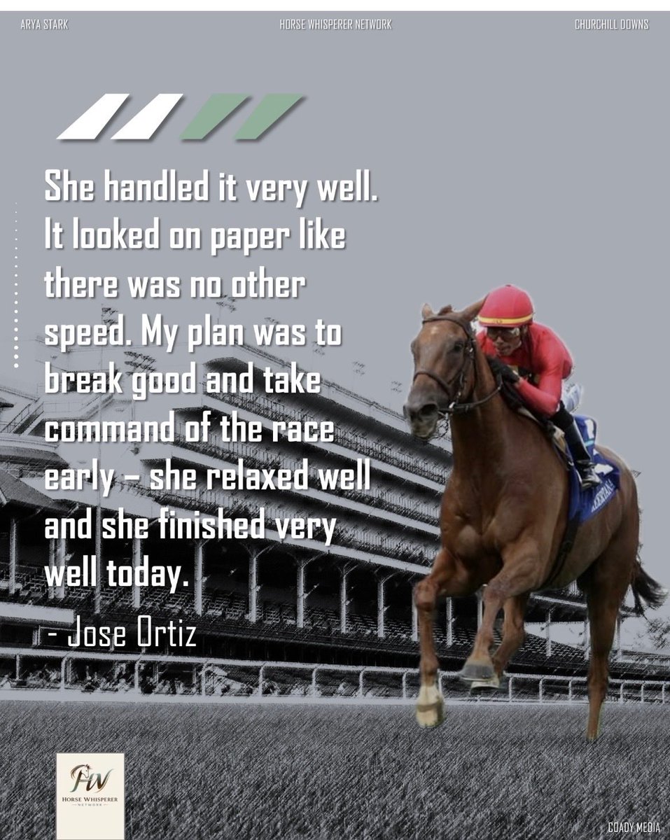 The Horse Whisperer Network tweet media