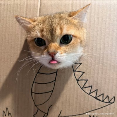 Lucasjwr111's tweet photo. #NewProfilePic https://t.co/BjMYzqlJxj