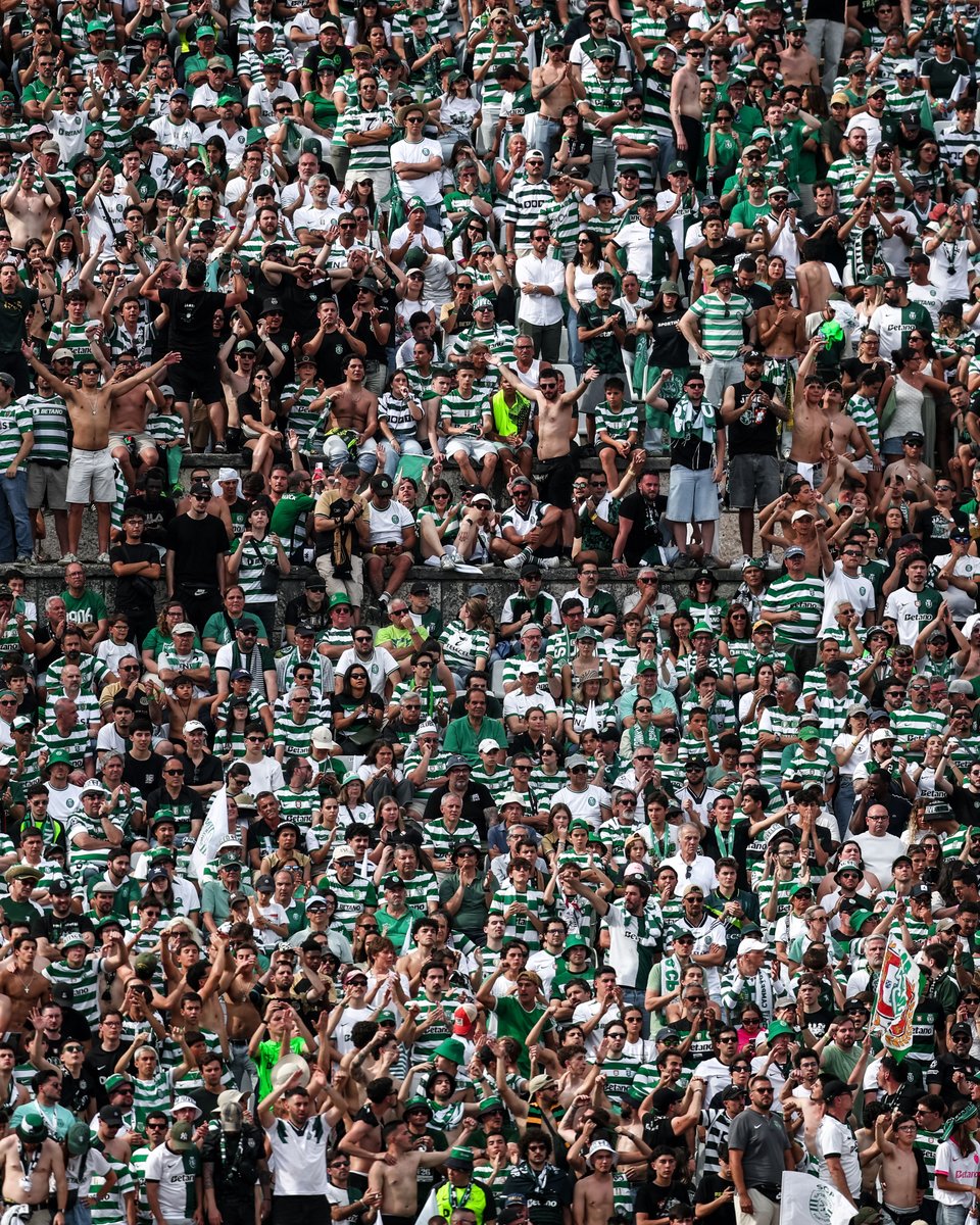 Sporting CP tweet media