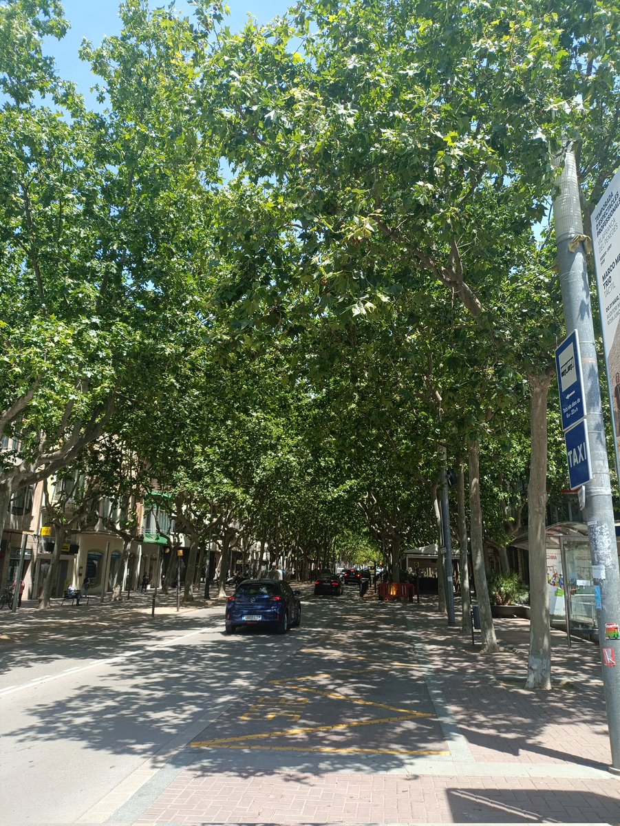 Encarna Canet tweet media