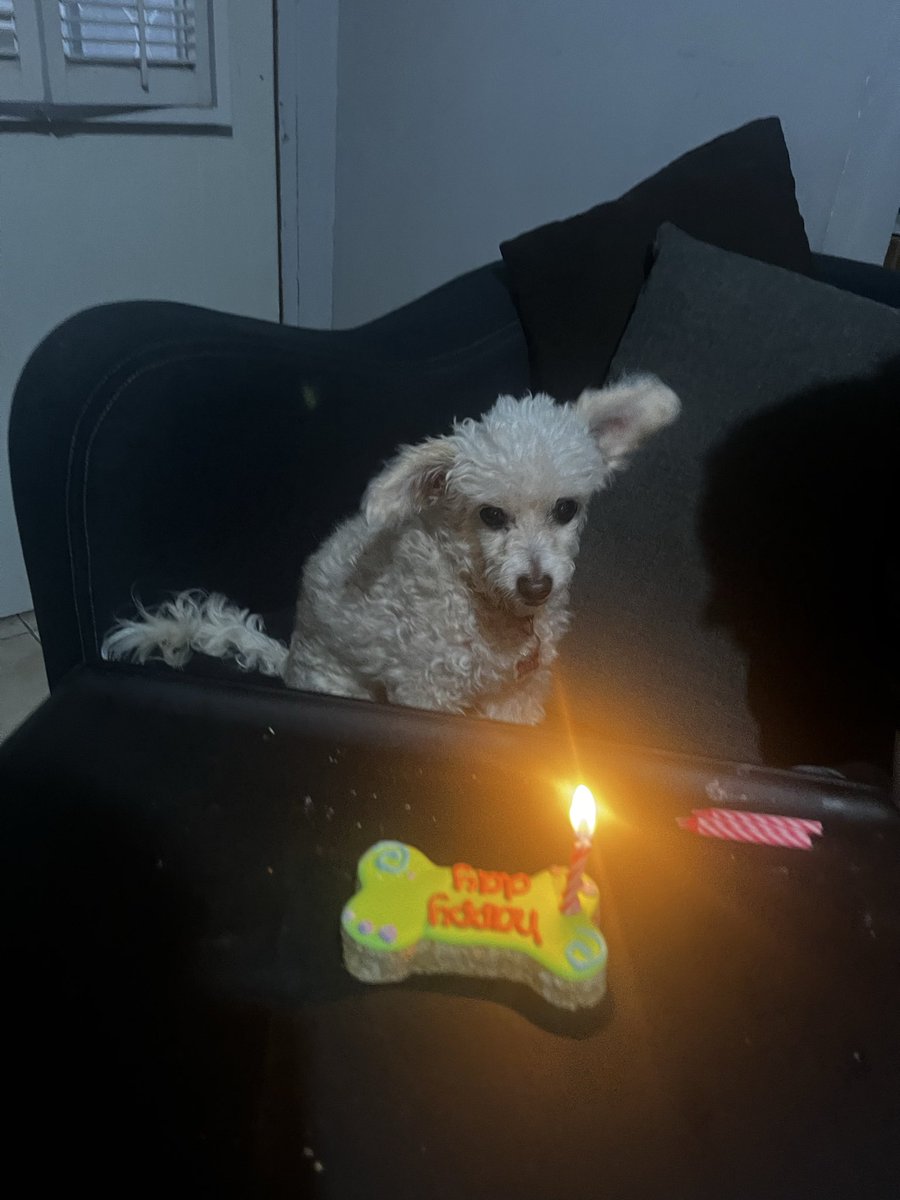 tiny_imavic's tweet photo. @J3vitaa_ Jajaja a veces es necesario que le de un poquito de pena a las personas jeva ntp! Así aprende uno no pasa naaaa quien tenga la madurez agarrara la onda y ya está 
Mira checa mi viejita cumplió 14 años https://t.co/1hGkUzcqLv