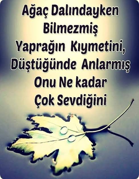benayselim's tweet photo. https://t.co/daUo3m4ea7
