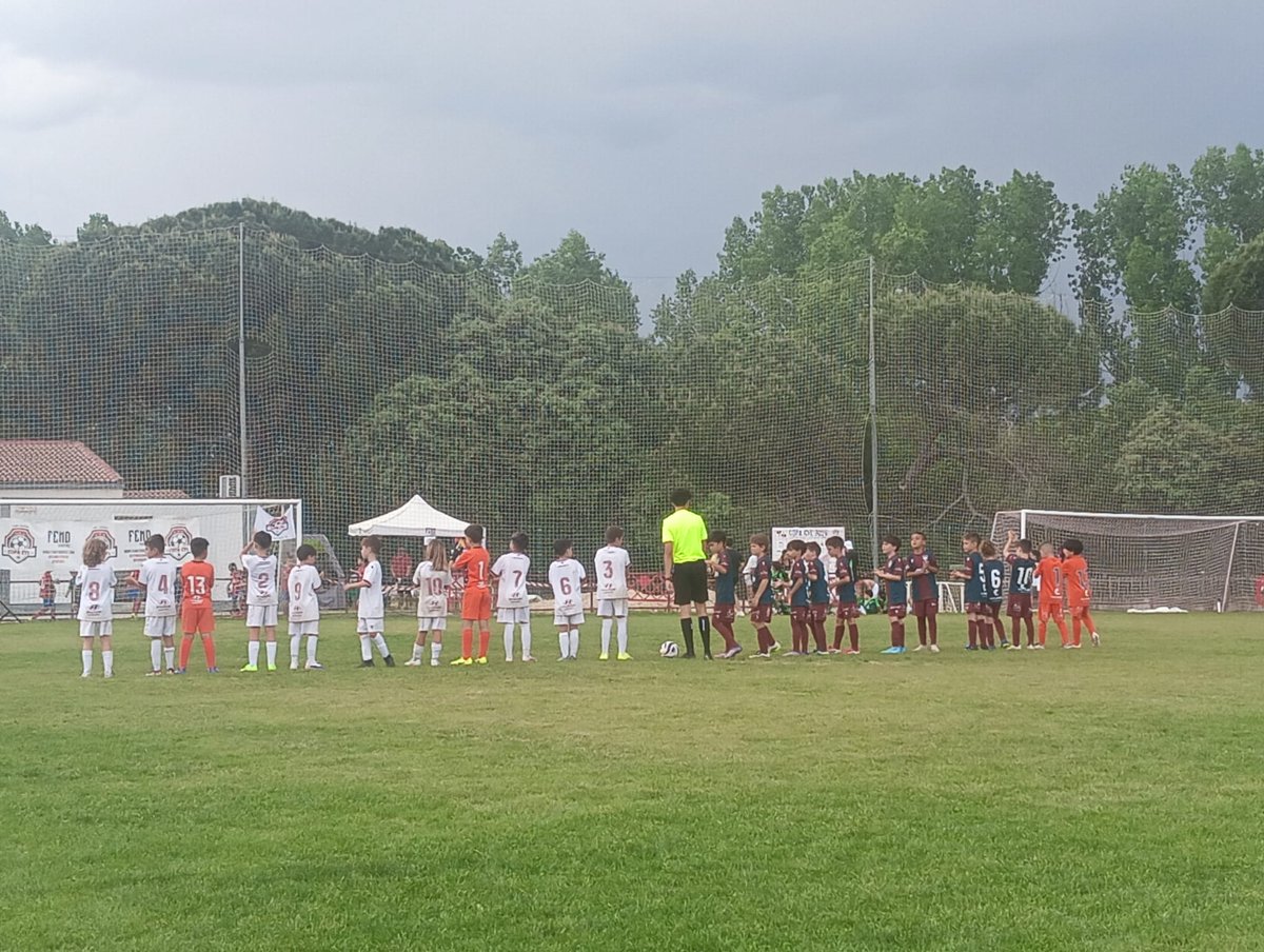 CultuAcademia's tweet photo. #CyDLBB #CopaCyL Benjamín U-9
🏟️ Arroyo Molino (Viana de Cega)
Octavos de Final
Benjamín B 2 ✅ - @Segoviana_Base 2
(Victoria en la tanda de penaltis) https://t.co/J9aZZ2WUPW