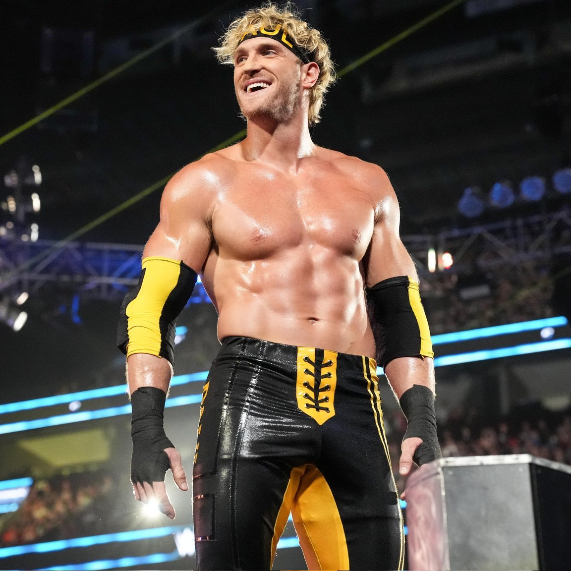 LuigiWrestling tweet media