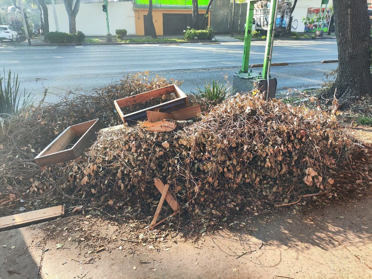 ReportesBenito's tweet photo. @locatel_mx  @AccionesBJ Nos ayudan con el retiro de estas #ramas y #basura en el Eje central esquina con San Borja en la colonia #Independencia de la @BJAlcaldia. Para evitar que la gente siga arrojando desperdicios.

#ReportesBj #alcaldiabj #BenitoJuarez https://t.co/xFL3qIjNXq