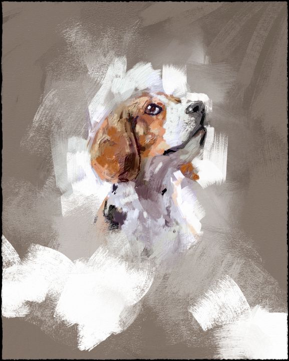 designermanu's tweet photo. Art of the Day! "Loyal Gaze". Buy at: https://t.co/ql3p2cZ0aO https://t.co/Z2Q7dqi3Bh