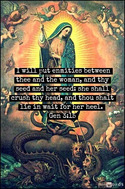 St. Padre Pio Quotes tweet media