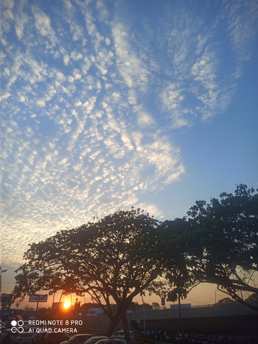 manoj71845's tweet photo. #nature  #photography #goodevening  #goa  #goodmorning https://t.co/mcZ9wuZFfi
