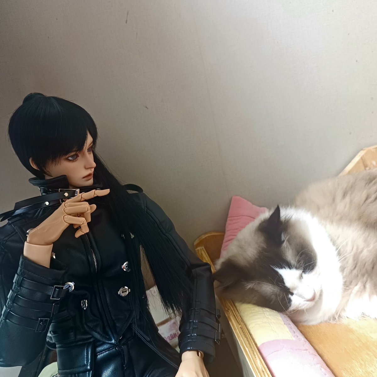 rumisiroa's tweet photo. 베개없이 못자는 아이
내가 사랑하는 첫째💞 https://t.co/by3NvZeBJx