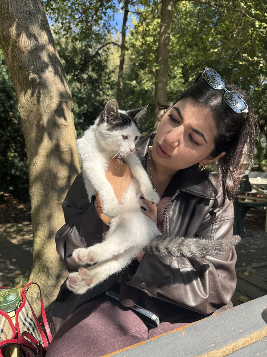 Eylül tweet media