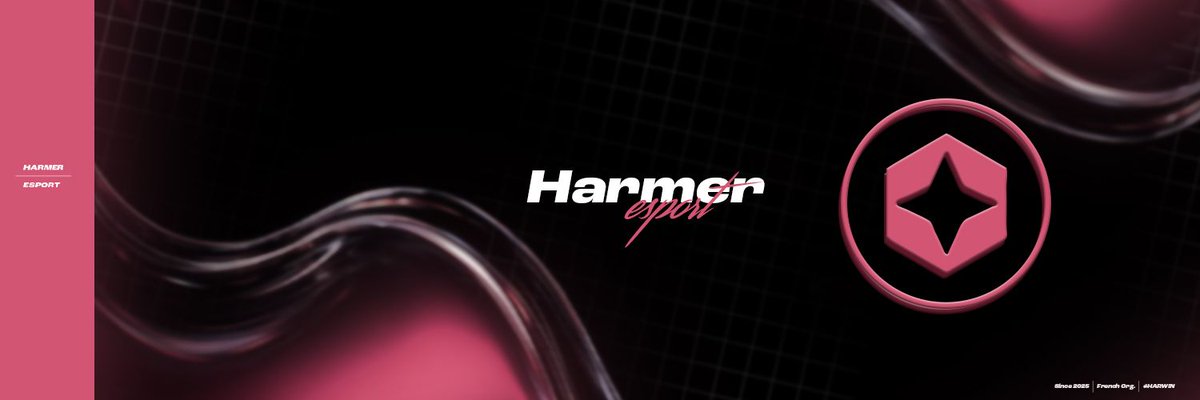 Harmer Esport tweet media