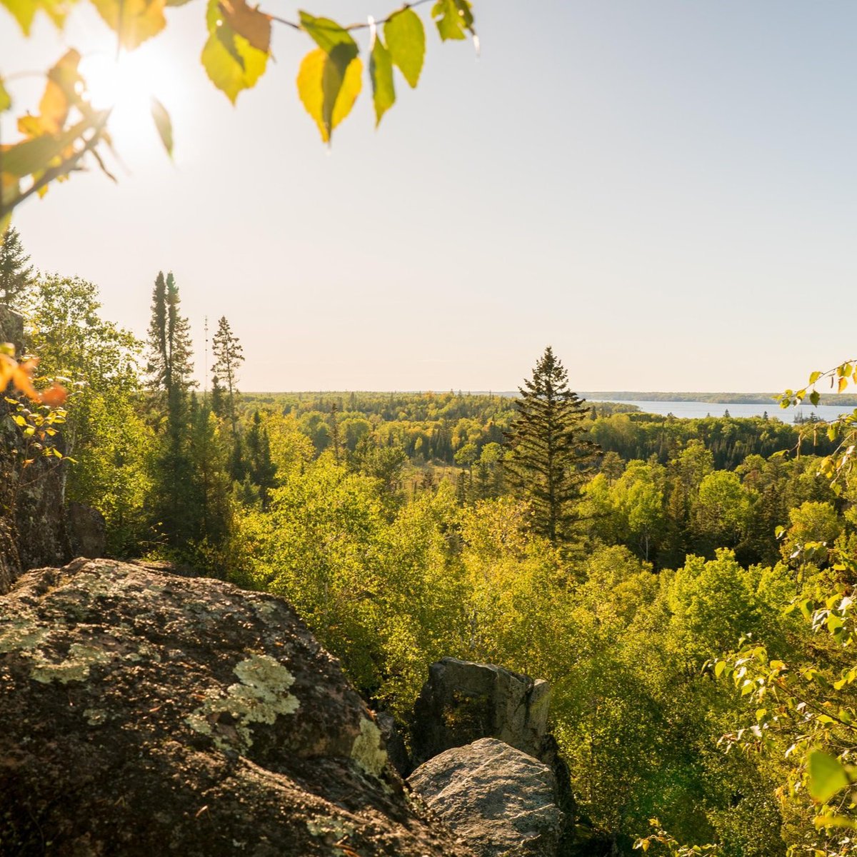 Trans Canada Trail 🇨🇦 tweet media