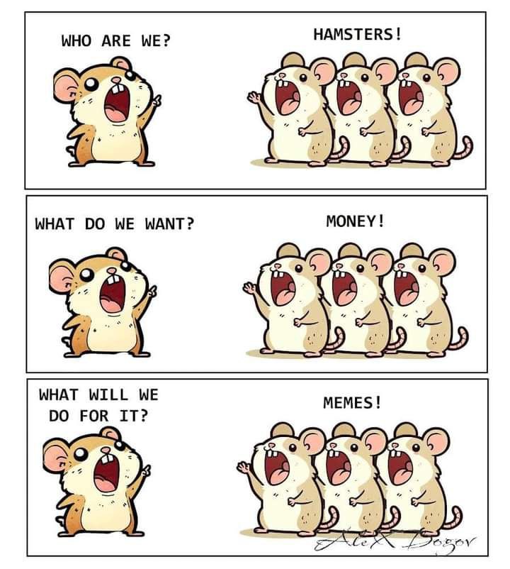 MemeCoinOwner's tweet photo. Where are you #Hamsters?

#HamsterKombat
#telegram https://t.co/xAjP2MhyQZ