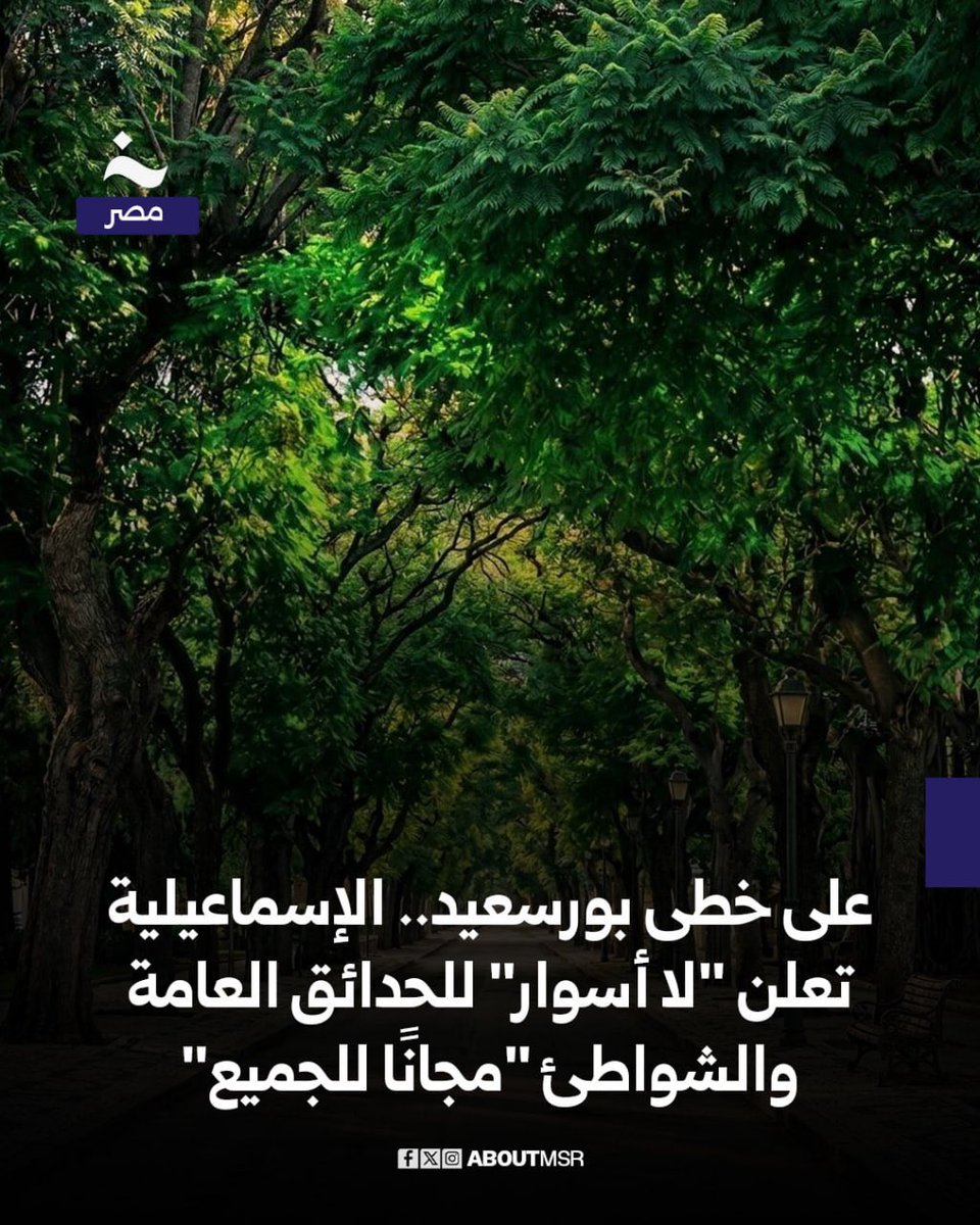 خاص - مصر tweet media