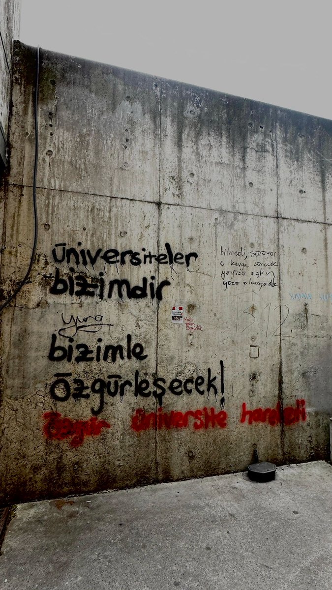 Rabia Atbaş tweet media