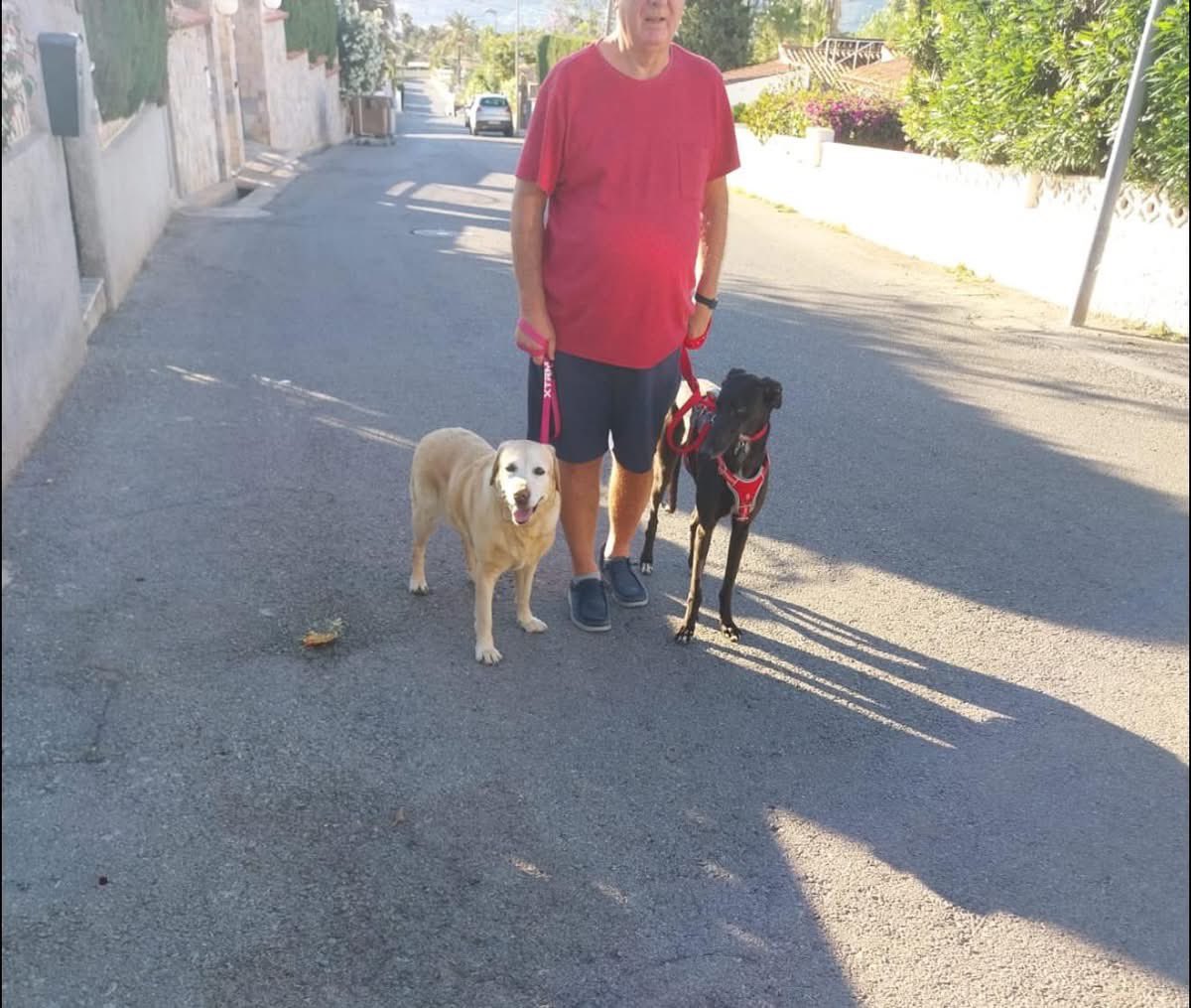 Galgos del Sol tweet media