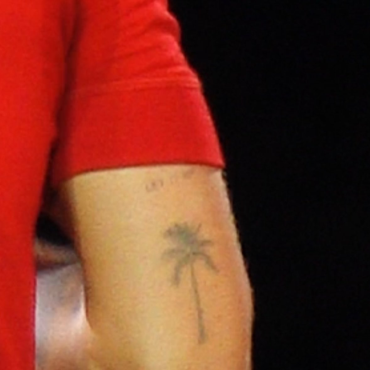 HS_News_2's tweet photo. NEW TATTOO

Above the palm tree 
“Let it ….”? https://t.co/BuaVY3O4nc