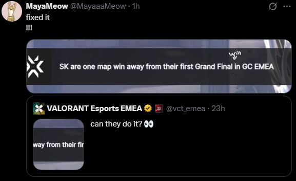 MayaMeow tweet media