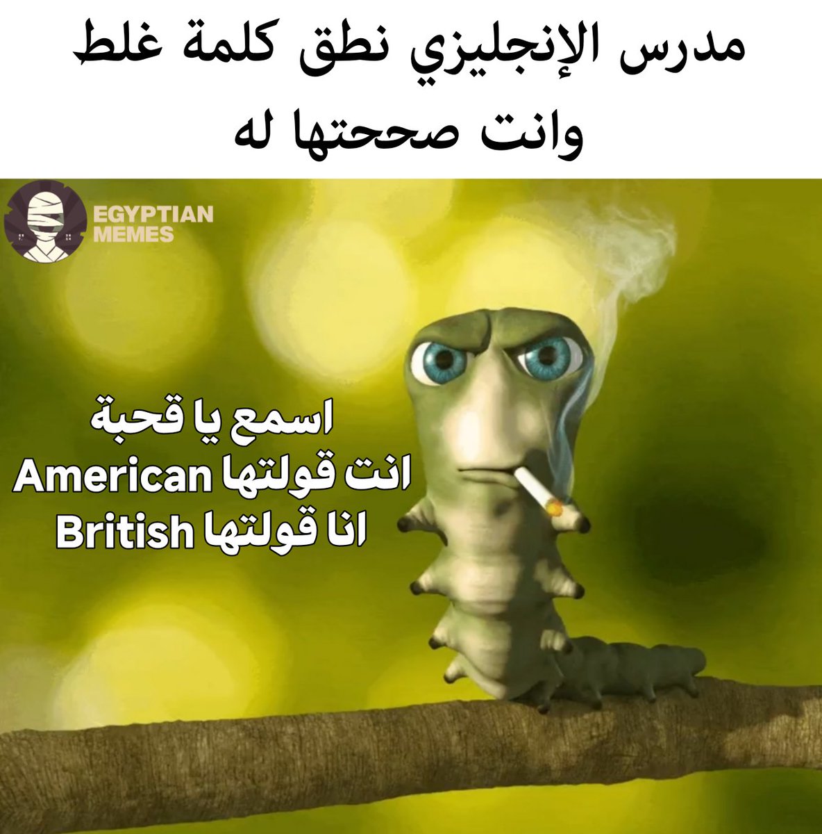 Egyptian Memes tweet media