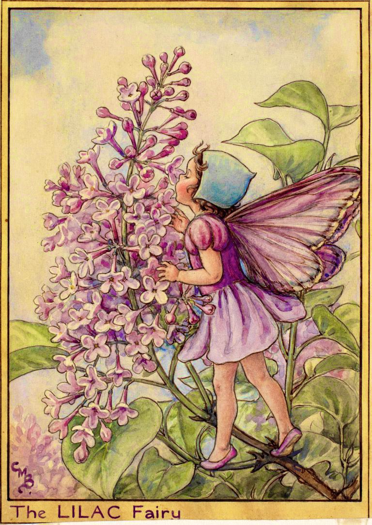 #FolkloreSunday tweet media