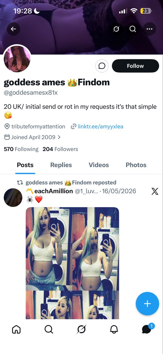 elliemay tweet media