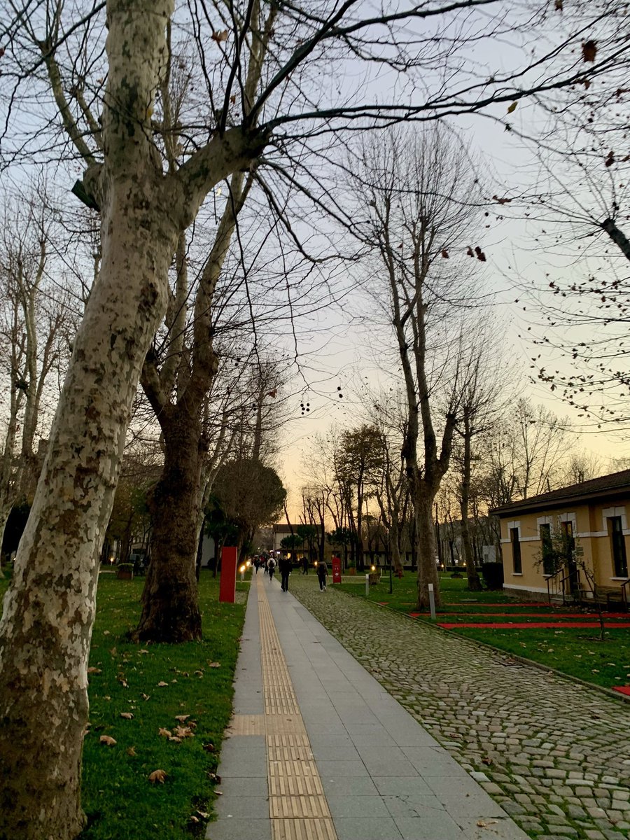 Başak Dağdeviren tweet media