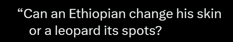 Space Cat Scratch tweet media