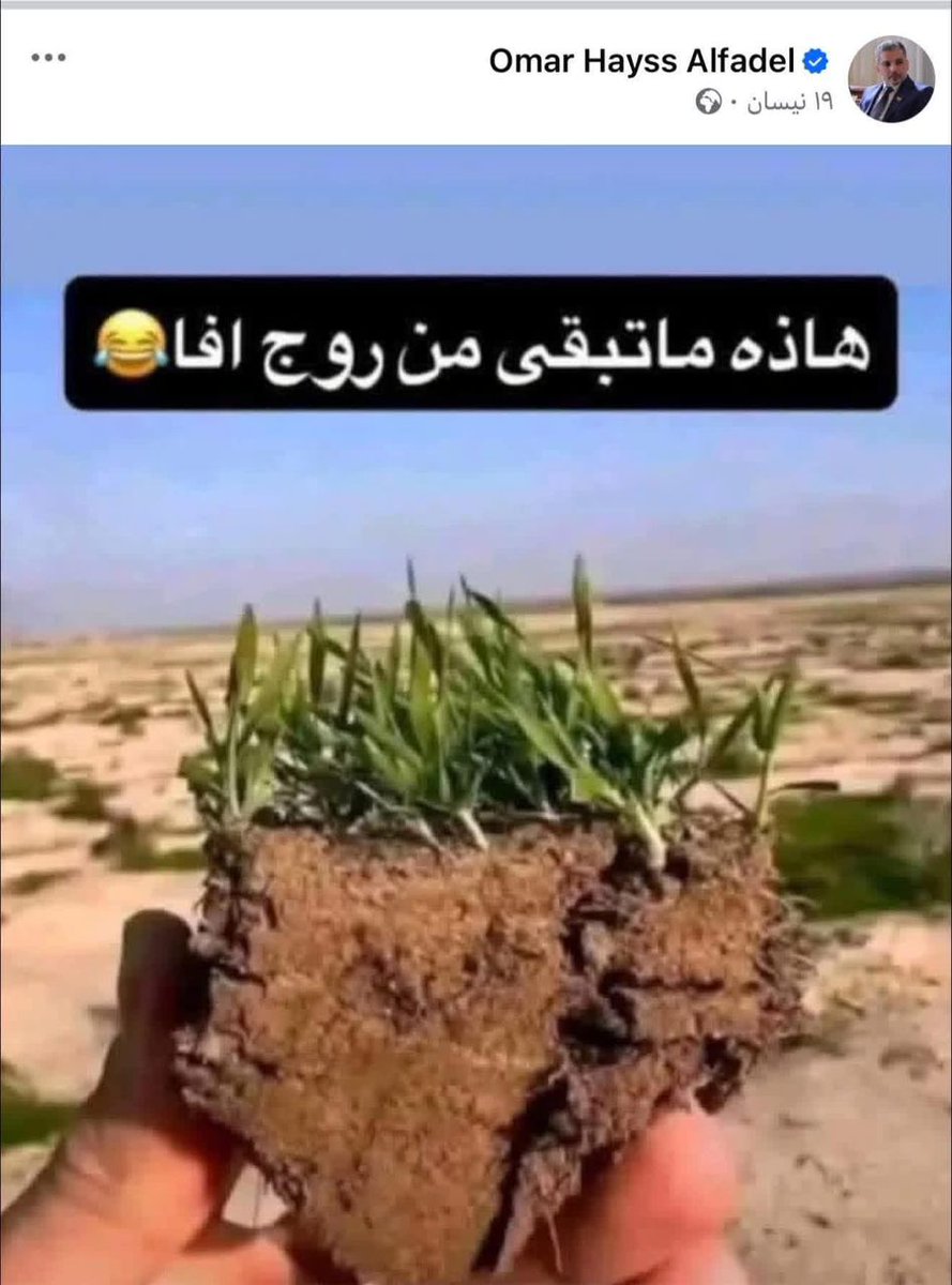 Sardar Mlla Drwish tweet media