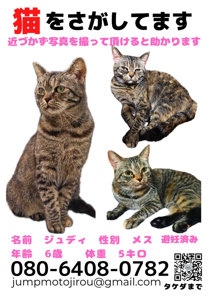 pennsylvania65k's tweet photo. 埼玉県白岡市千駄野のマミーマート白岡店近くの自宅から、5/23(土)AM2時ごろ愛猫が失踪しました
見かけた方いらっしゃいましたら、何卒DM/リプライ/お電話下さい

名探偵キャッツさんにも捜索を依頼し、こちらのポスターを作ってもらいました

#迷子猫 #迷い猫 #拡散希望 #探してます #埼玉県 #白岡市 https://t.co/dkxPrq8Qr5