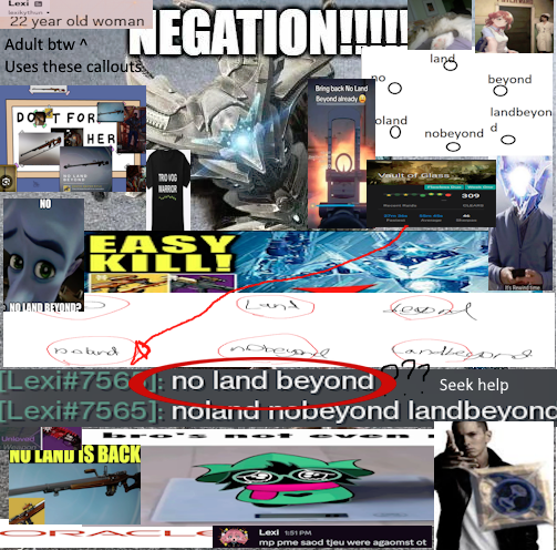 Lexi tweet media