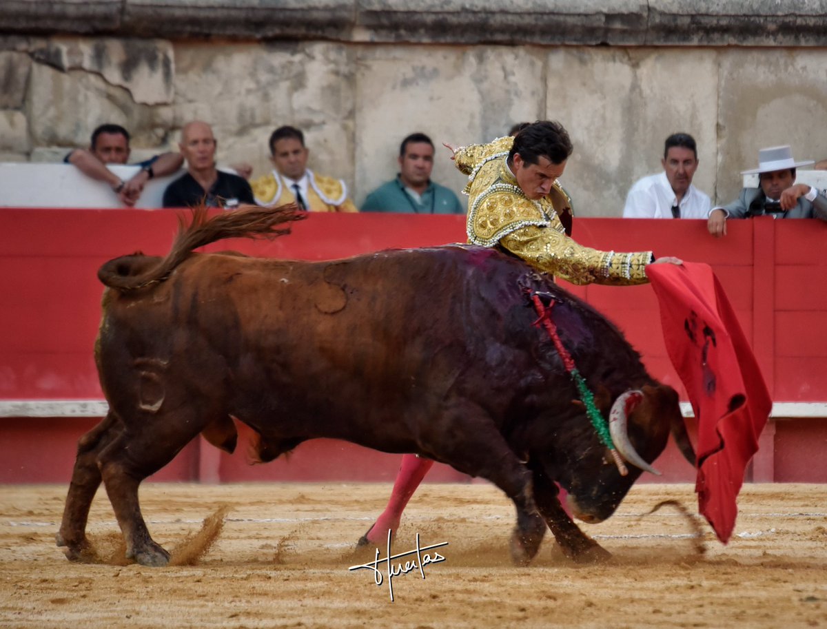 Daniel Luque tweet media