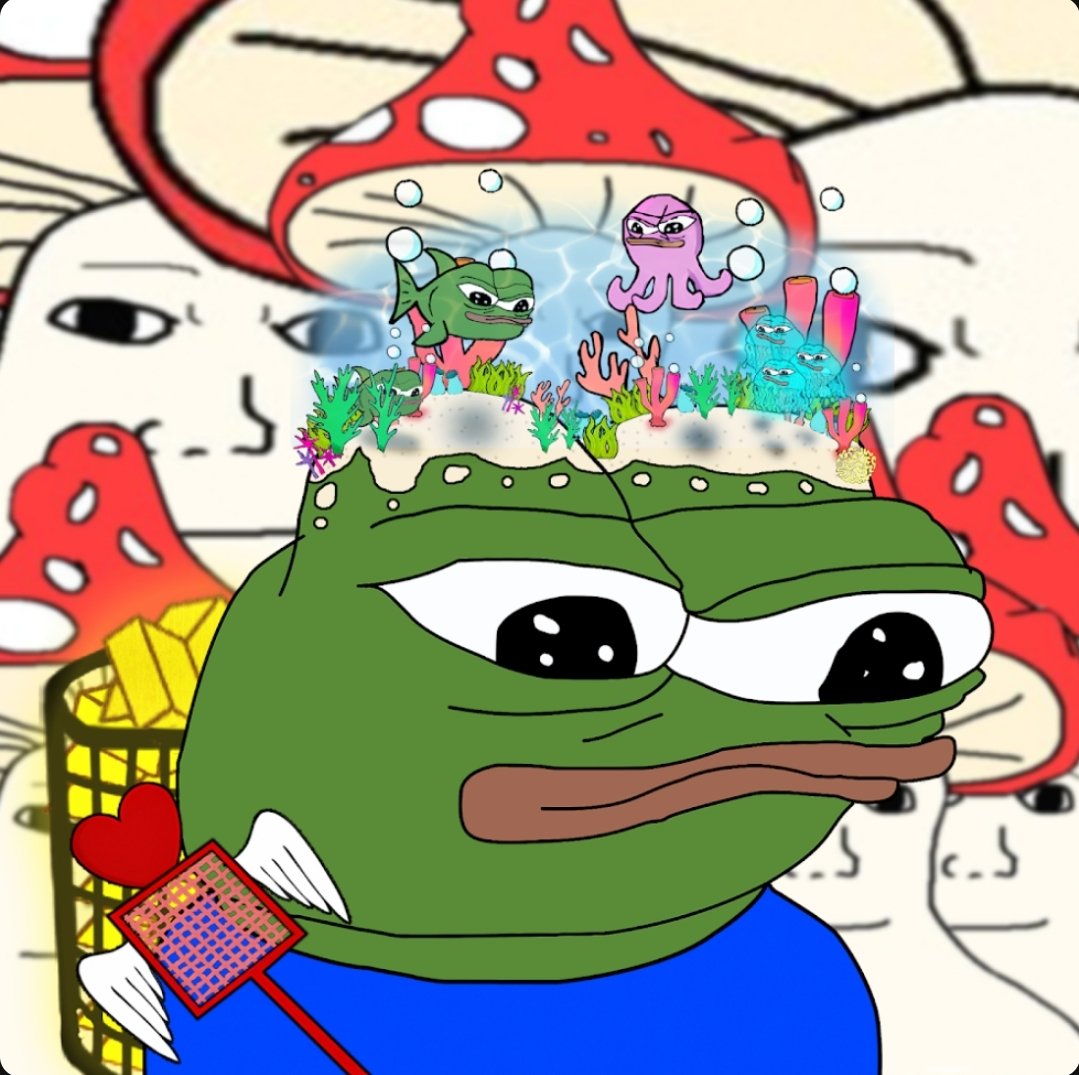 LFGOOO 🐸🌞 tweet media