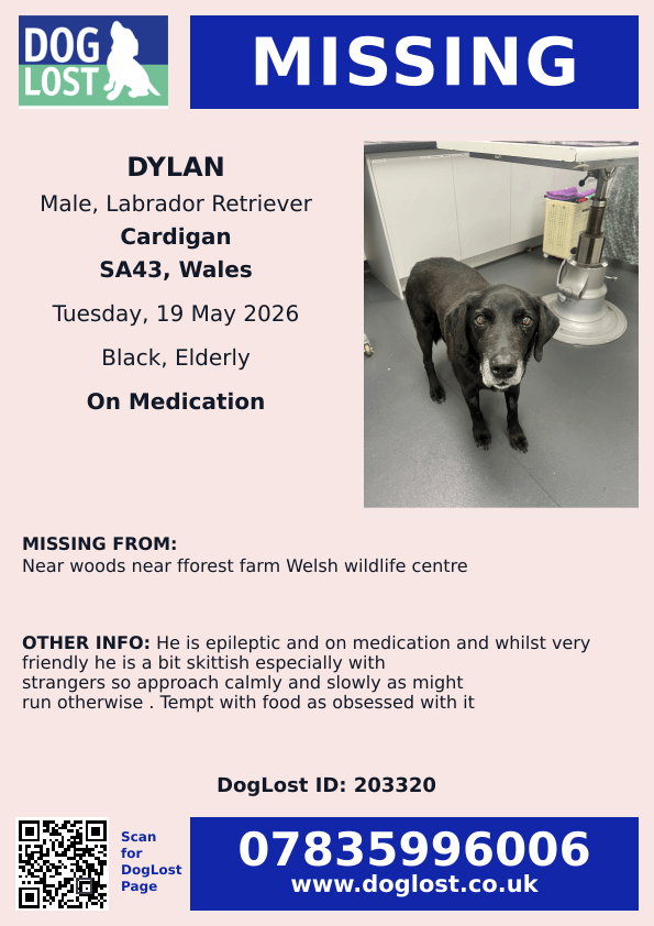 Missing Pets GB tweet media