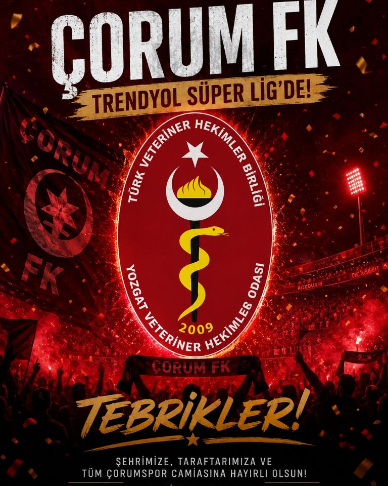 YozgatVHO's tweet photo. ⚽ Trendyol Süperlige Yükselen Kardeş Şehrimizin Takımı Çorum FK Tebrik Ediyoruz. https://t.co/KYHASNzvmz