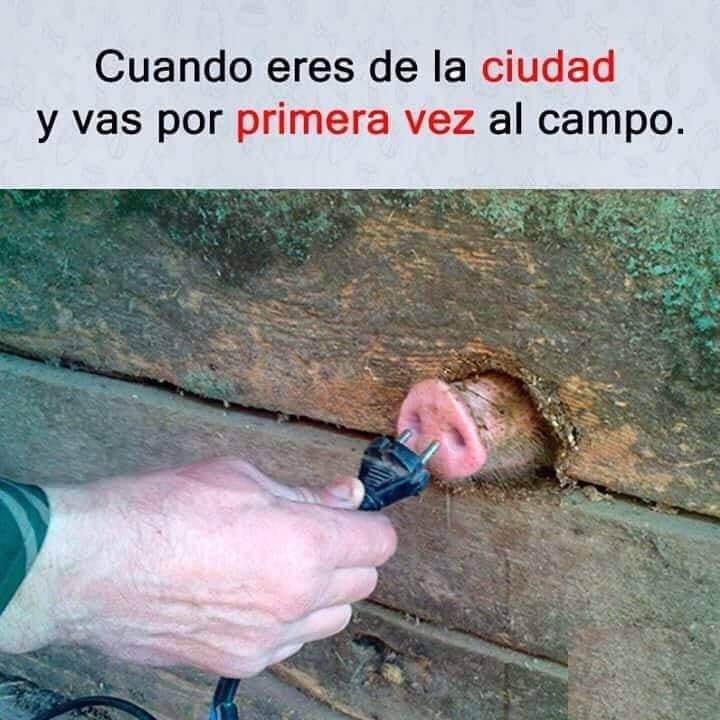 felipe Márquez tweet media
