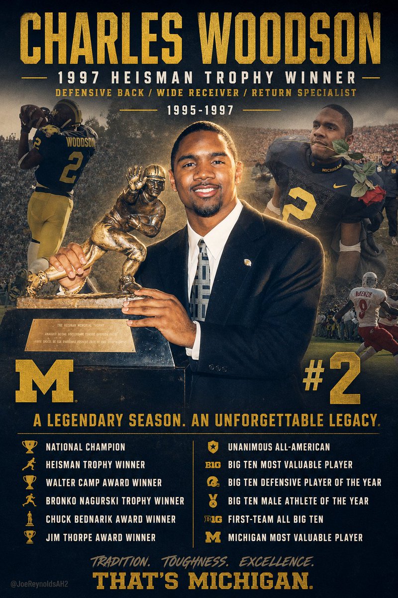 A〽️aizing History tweet media