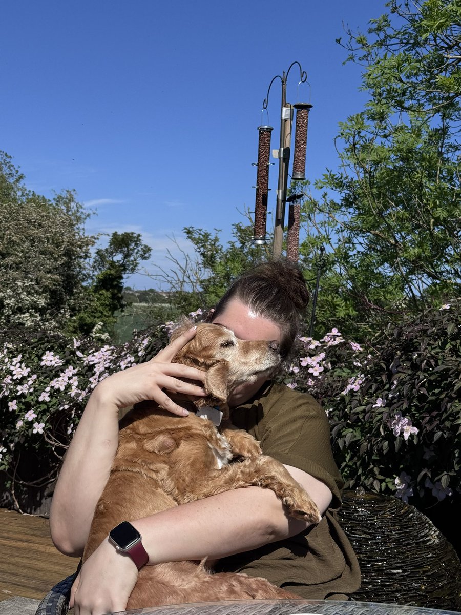SpanielsSuper's tweet photo. Have we ever mentioned that HuSis @ECBohill gives the #VeryBestCuddles #SheDoes #WeLoveHer https://t.co/LFMQ0NR4Ey