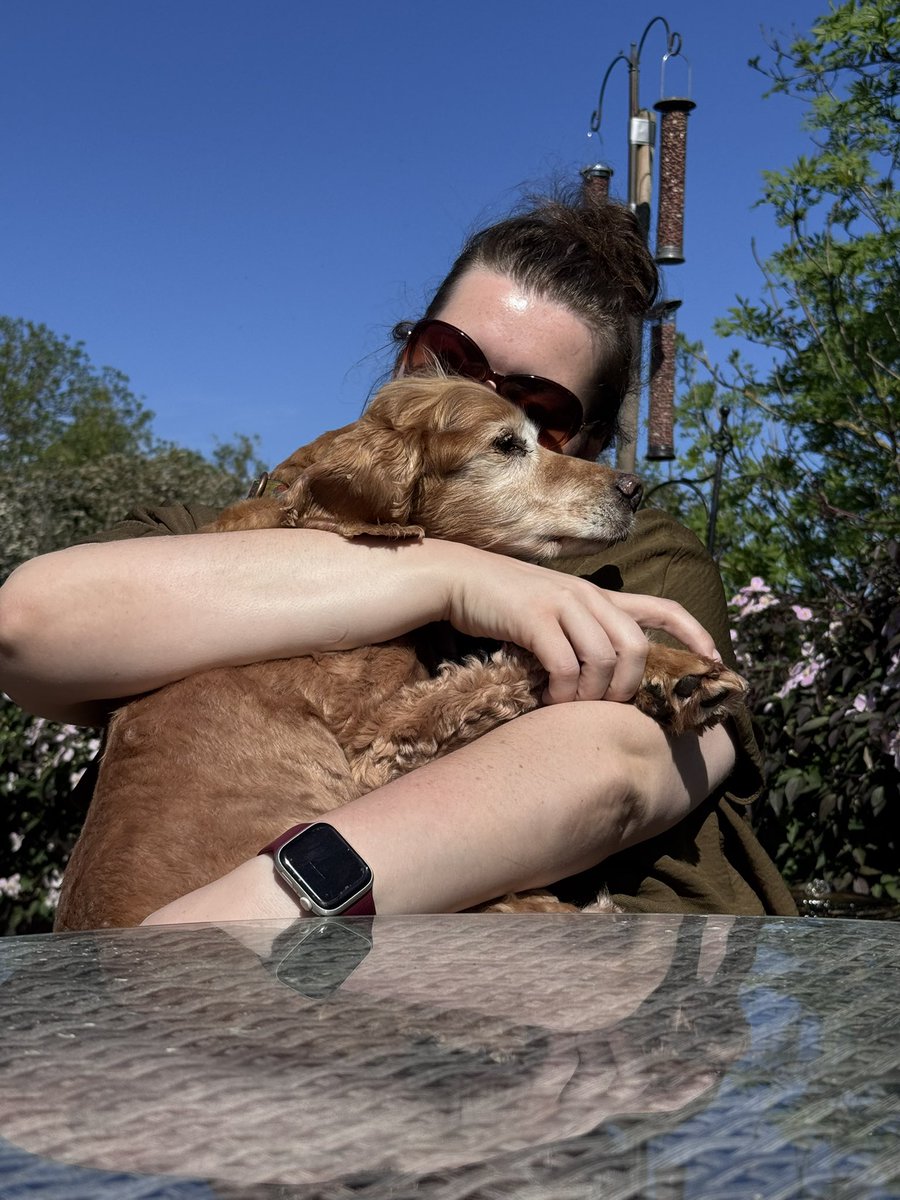 SpanielsSuper's tweet photo. Have we ever mentioned that HuSis @ECBohill gives the #VeryBestCuddles #SheDoes #WeLoveHer https://t.co/LFMQ0NR4Ey