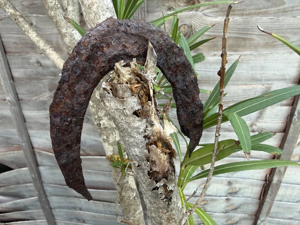 cooketim2's tweet photo. My daughter found this very old-looking horse shoe in Epping Forest a while back - any thoughts on date or how to date it? https://t.co/dT35WKAYp4
