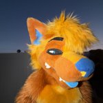 Photo by Alex_The_Husky (@AlexTheAwful)