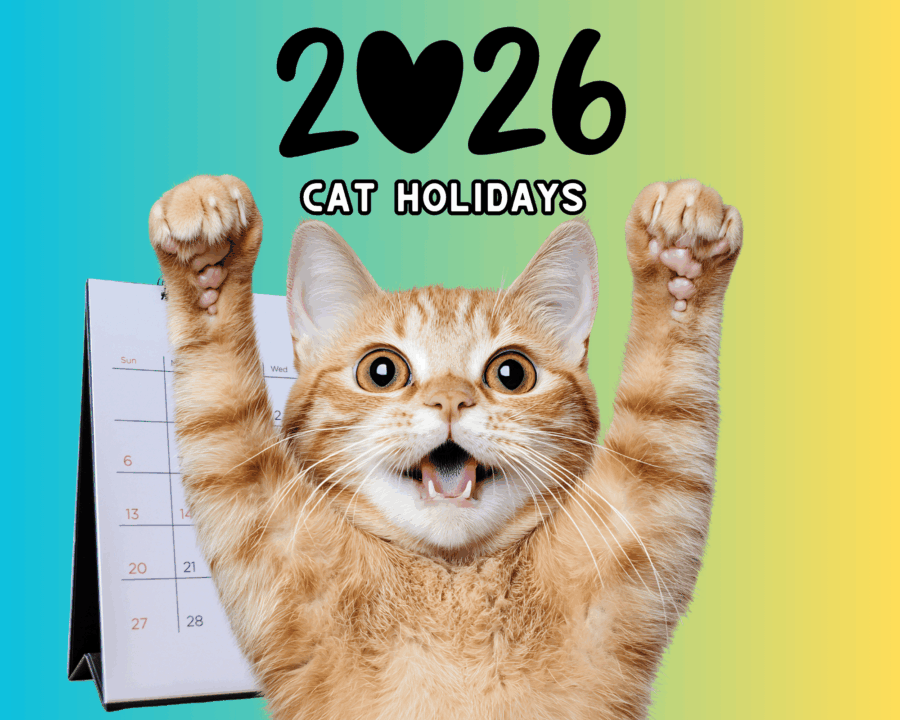 CatTipper's tweet photo. June is just a week away! Be sure to mark your calendar so you can celebrate Hug Your Cat Day, Pet Appreciation Week, National Garfield The Cat Day, Take Your Cat To Work Day, Cat World Domination Day &amp; all of the other cat-themed holidays coming up! https://t.co/zSzPgLDIv7 https://t.co/eDukSzwbth