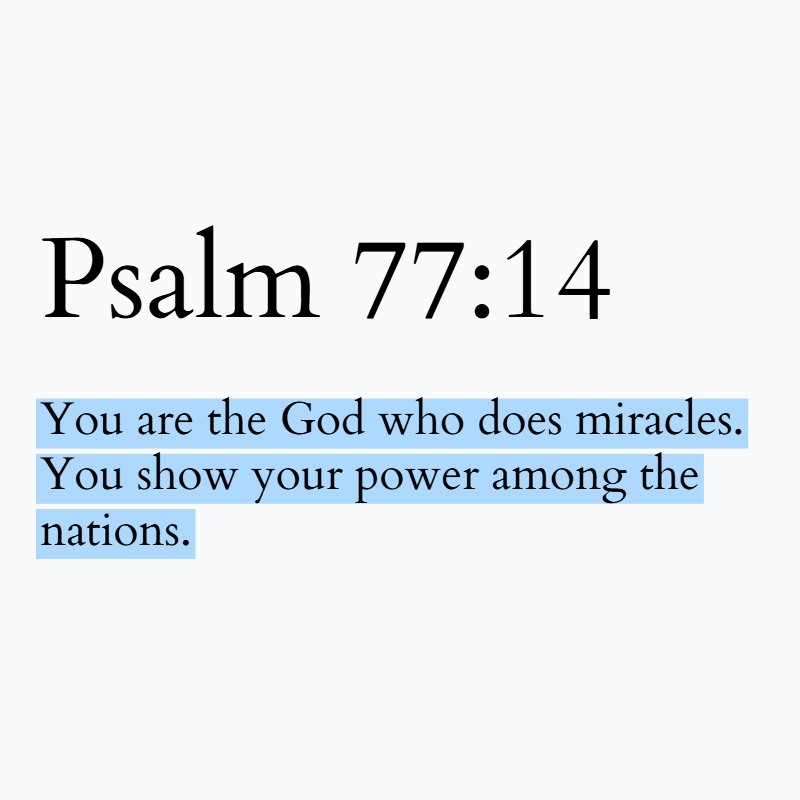 Holy Bible tweet media